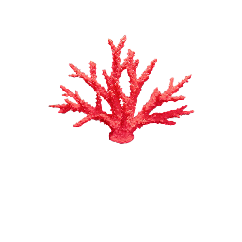 AquaGemCorals