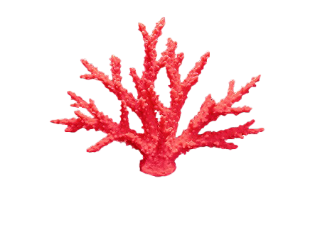 AquaGemCorals