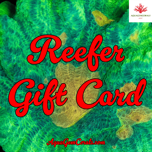 Reefer Gift Card - AquaGemCorals