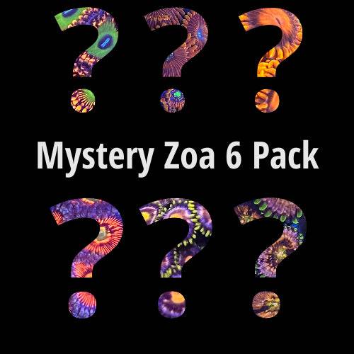 Mystery Zoa 6 pack - AquaGemCorals