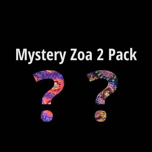 Mystery Zoa 2 pack - AquaGemCorals