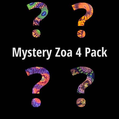 Mystery Zoa 4 pack - AquaGemCorals